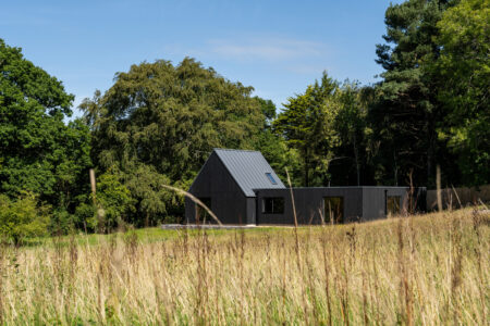 How an untouched site in the New Forest beckoned a sustainable new-build adventure